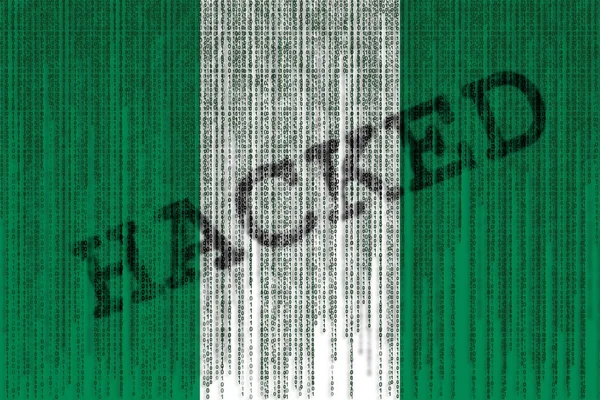 Veri kesmek Nigeria bayrak. Nijerya bayrağı ile ikili şifre. — Stok fotoğraf