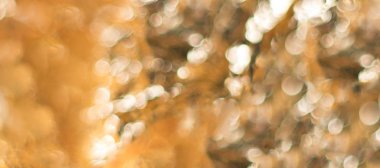 Gold bokeh banner. 
