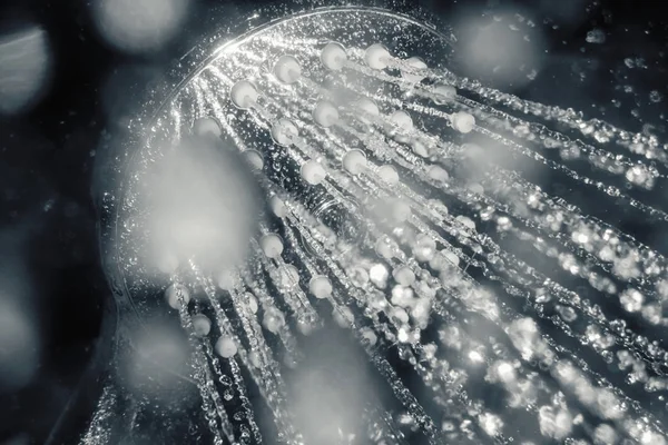 Duschkopf mit strömendem Wasser Nahaufnahme — Stockfoto