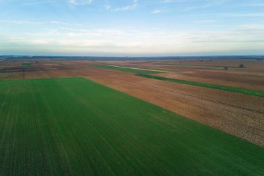 Havadan görünümü bulutlar üzerinde yeşil tarım alanları üzerinde.