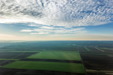 Havadan görünümü bulutlar üzerinde yeşil tarım alanları üzerinde.