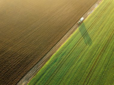 Genç buğday fidan büyüyen bir alan hava görünümünde. Traktör