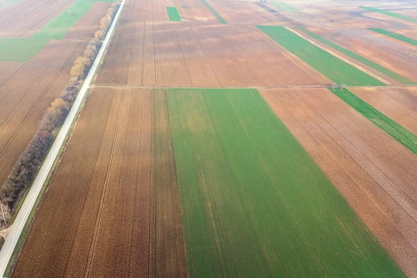 Aerial view Clouds over over green agricultural fields. — Stock Photo, Image