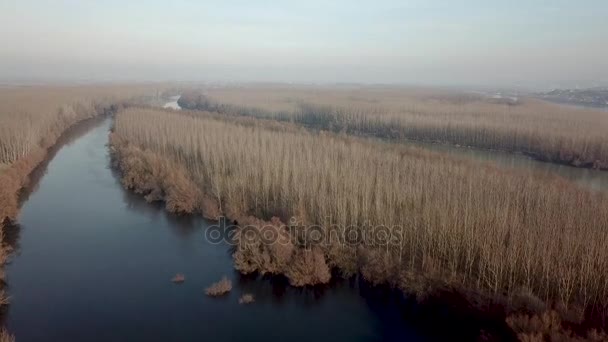 Широкая Река Осенний Вид Сверху — стоковое видео