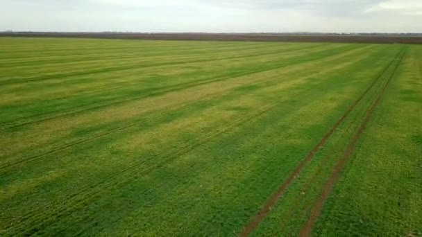 Luchtfoto Van Velden Het Vroege Voorjaar — Stockvideo