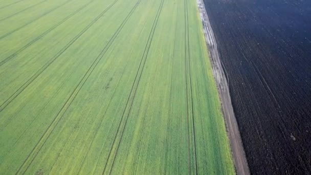 Groene Weide Luchtfoto Velden Het Vroege Voorjaar — Stockvideo