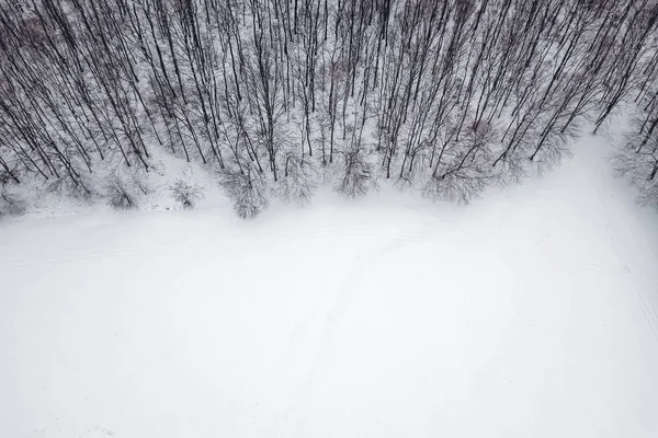 Kış orman yukarıdan. Havadan görünümü orman ve kar. — Stok fotoğraf