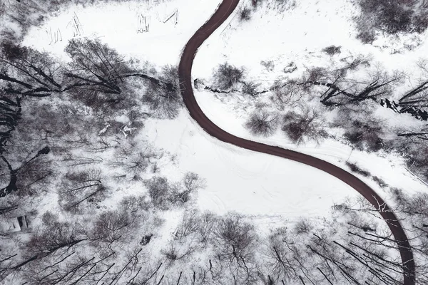Winter forest and Road. Top view.