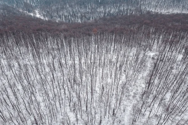 Winter forest Top view. Snowy winter forest aerial.