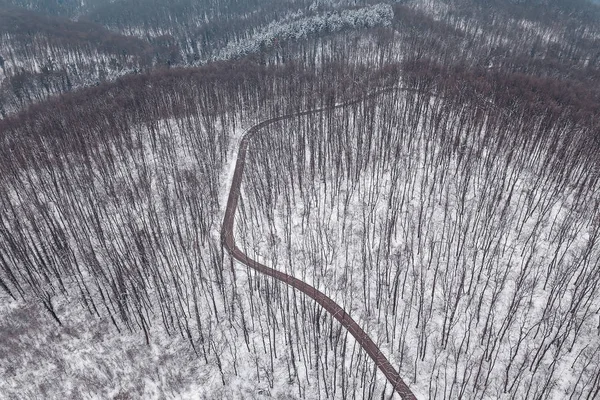Winter forest and Road. Top view.