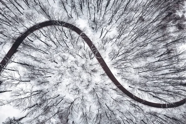 Kış orman ve yol. Üstten Görünüm. — Stok fotoğraf