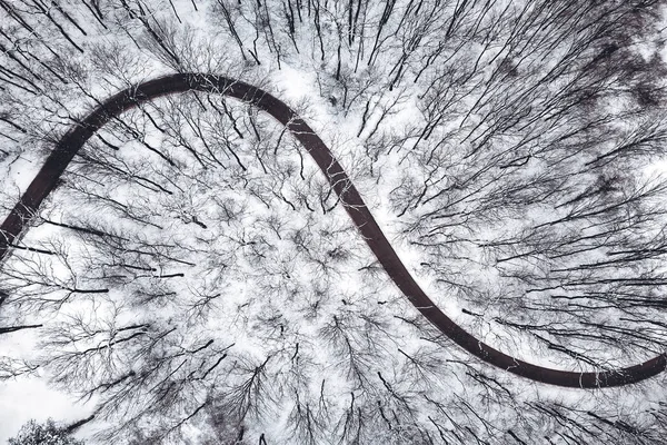 Winterwald und Straße. Ansicht von oben. — Stockfoto