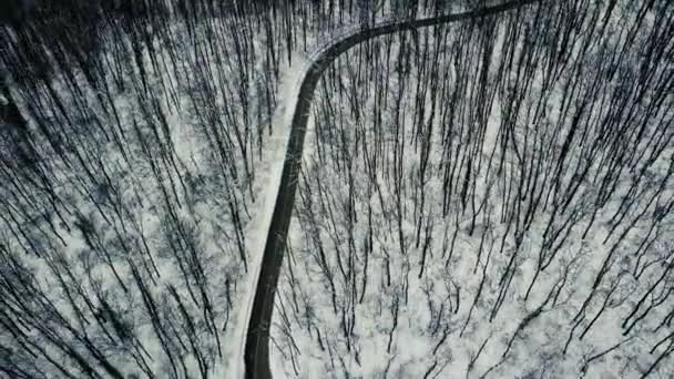 冬の森の道 航空写真ビュー — ストック動画