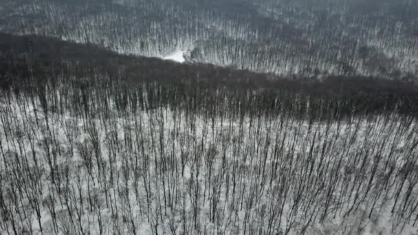 Forêt d'hiver. Aérien. Drone Footage forêt enneigée d'hiver aérien .