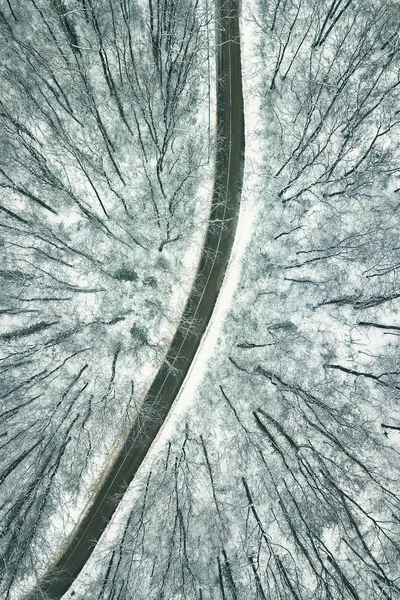 Снежный лес с дорогой. Вид с воздуха . — стоковое фото
