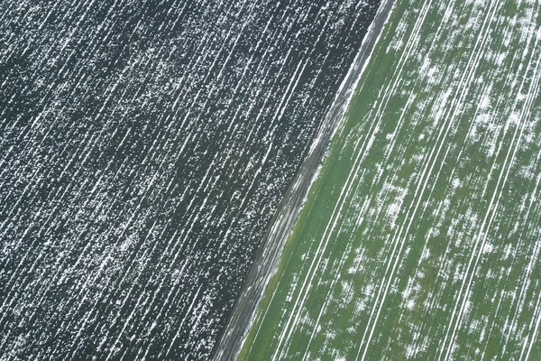 Ansicht von oben auf landwirtschaftliche grüne und braune Felder mit sno bedeckt — Stockfoto