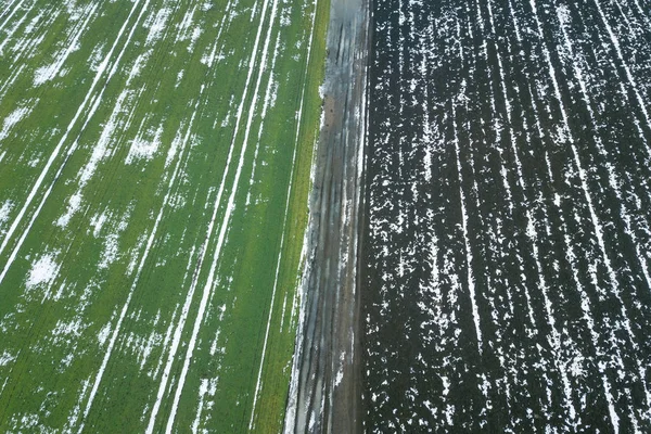 Ansicht von oben auf landwirtschaftliche grüne und braune Felder mit sno bedeckt — Stockfoto