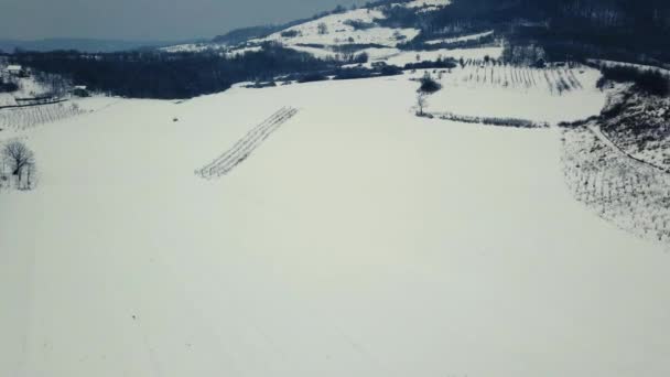 Viñedo Vista Aérea Invierno — Vídeos de Stock