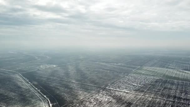 Vue Dessus Des Champs Agricoles Couverts Neige Début Printemps — Video