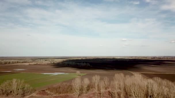 Letecký Pole Brzy Jaře Letecký Snímek Polí Různými Typy Zemědělství — Stock video