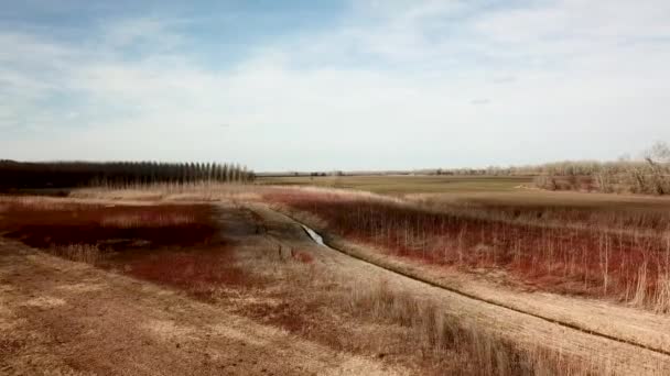 Campos Aéreos Início Primavera Tiro Aéreo Campos Com Vários Tipos — Vídeo de Stock