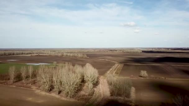 Lotnicze Pola Wczesną Wiosną Zdjęcia Lotnicze Pól Różnych Rodzajów Rolnictwa — Wideo stockowe