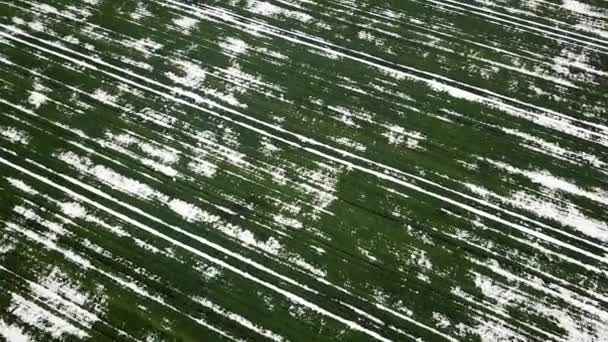 Tahıl Alan Bahar Hava Görünümünü Tarafından Kar Kaplı — Stok video