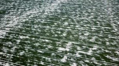 Tahıl alan bahar hava görünümünü tarafından kar kaplı.