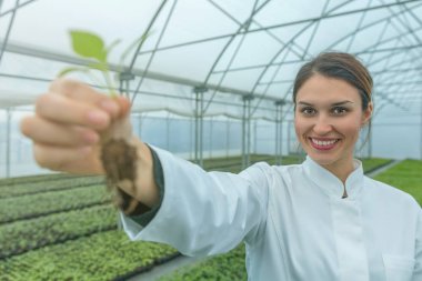 Serada çiçek tutan bir kadın var. Çekirdekler Sera.