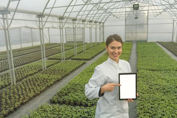 Engenheira de biotecnologia feminina tablet estufa. Sementes de plantas — Fotografia de Stock