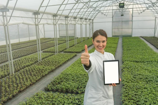 Engenheira de biotecnologia feminina tablet estufa. Sementes de plantas — Fotografia de Stock