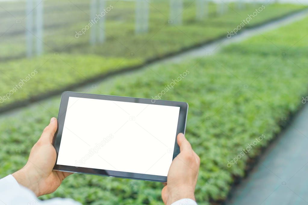 Plant seedlings growing greenhouse spring. Biotechnology engineer hands with tablet.