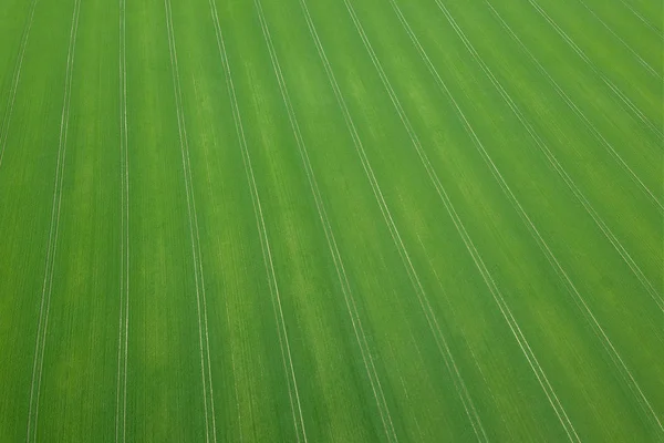 Groen veld voorjaar seizoen. Luchtfoto. Tarwe. — Stockfoto