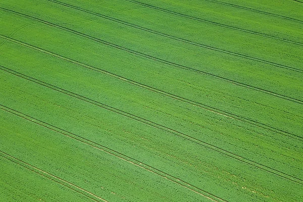 Ελαιοκράμβη πράσινο πεδίο άνοιξη, αεροφωτογραφία. — Φωτογραφία Αρχείου