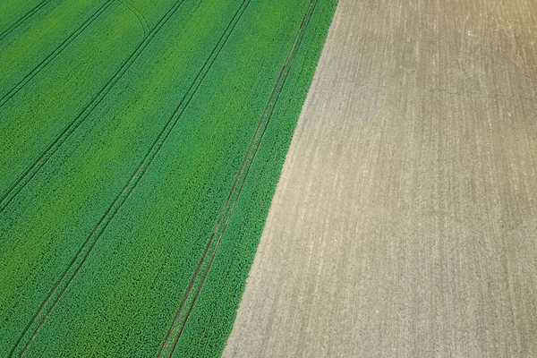 Зеленое поле рапса весной, сельскохозяйственные угодья, Вид с воздуха . — стоковое фото