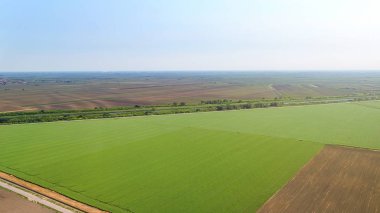 Tarım alanları bahar süre boyunca havadan görünümü.