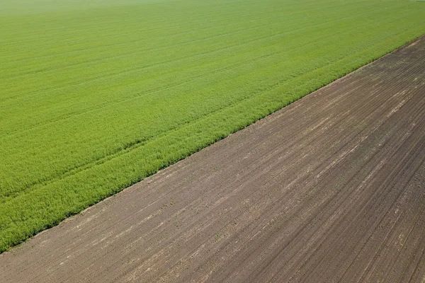 Luftaufnahme über den landwirtschaftlichen Feldern Frühlingszeit. — Stockfoto