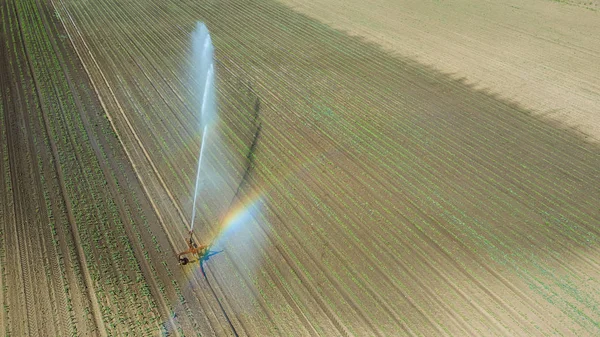 Irrigation equipment watering field. Aerial view. Irrigation of a young plants.