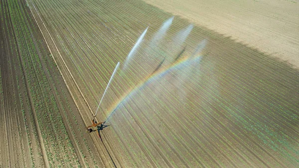 Irrigation equipment watering field. Aerial view. Irrigation of a young plants.