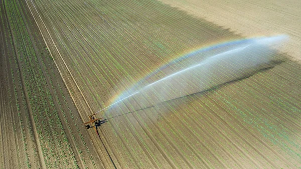 Irrigation equipment watering field. Aerial view. Irrigation of a young plants. — Stock Photo, Image