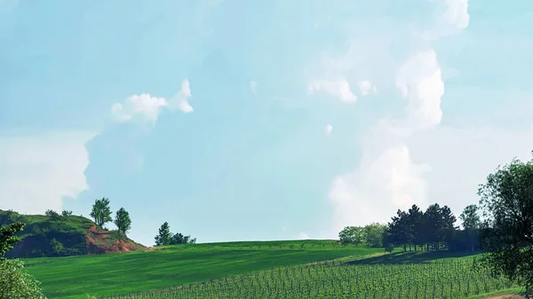 Tuscany hills. Spring Vineyard — Stock Photo, Image