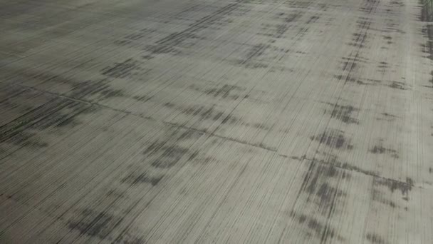 Plantation de soja. Vue aérienne du champ de soja agricole cultivé. Vue du dessus Printemps .