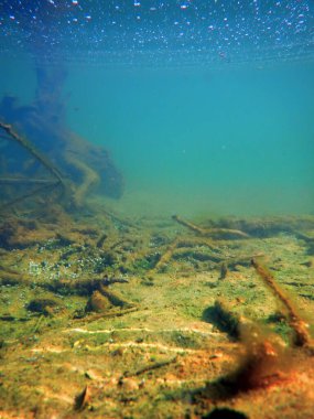 Su altı Tatlı Su Flora, Sualtı Bottom, Nehirler, Göller, P