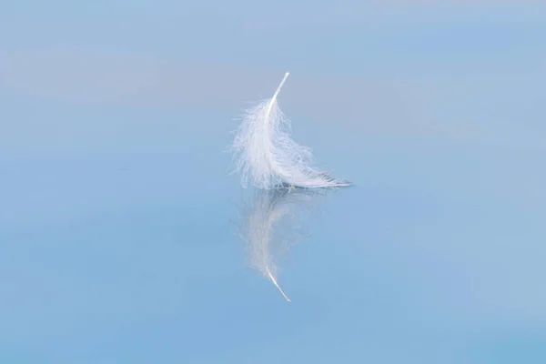 Plume d'oiseau sur la surface de l'eau avec espace pour le texte — Photo
