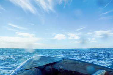 Şişme Bot Breaking Sea Waves, Özgürlük ve Hareket