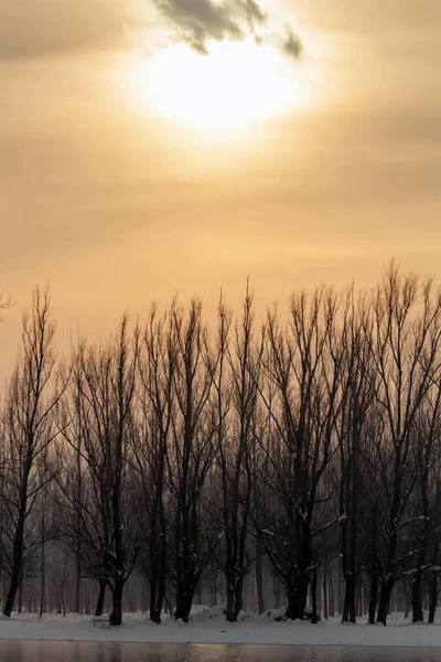 Bevroren meer in bos winter zon, winter zon landschap — Stockfoto