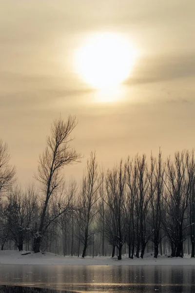 Bevroren meer in bos winter zon, winter zon landschap — Stockfoto