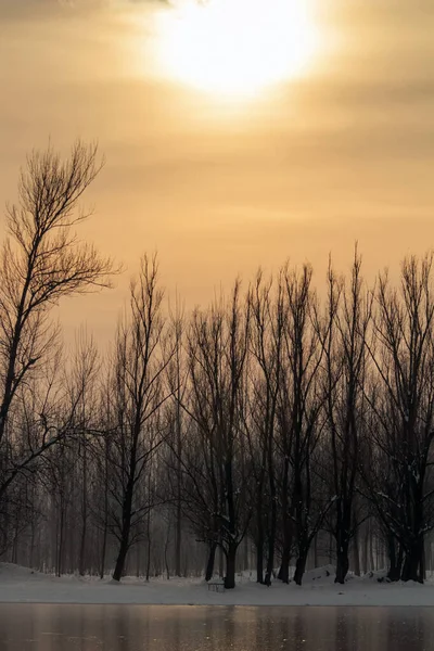 Bevroren meer in bos winter zon, winter zon landschap — Stockfoto
