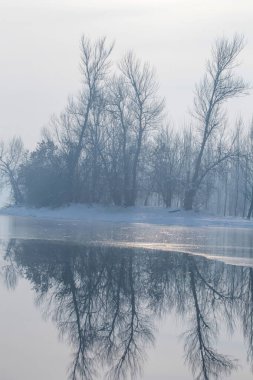 Orman güneş yansıması dondurulmuş göl, kış yansıması landscap