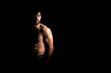 Vücut Geliştirici Pozisyonu, Sporcu Erkek Gücü, Fitness Kaslı Adam, 